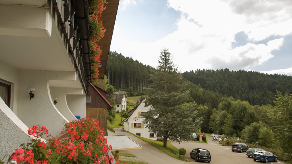 Blick von einem Balkon mit roten Blumen auf ein Tal mit Wald und mehreren Gebäuden im Schwarzwald.